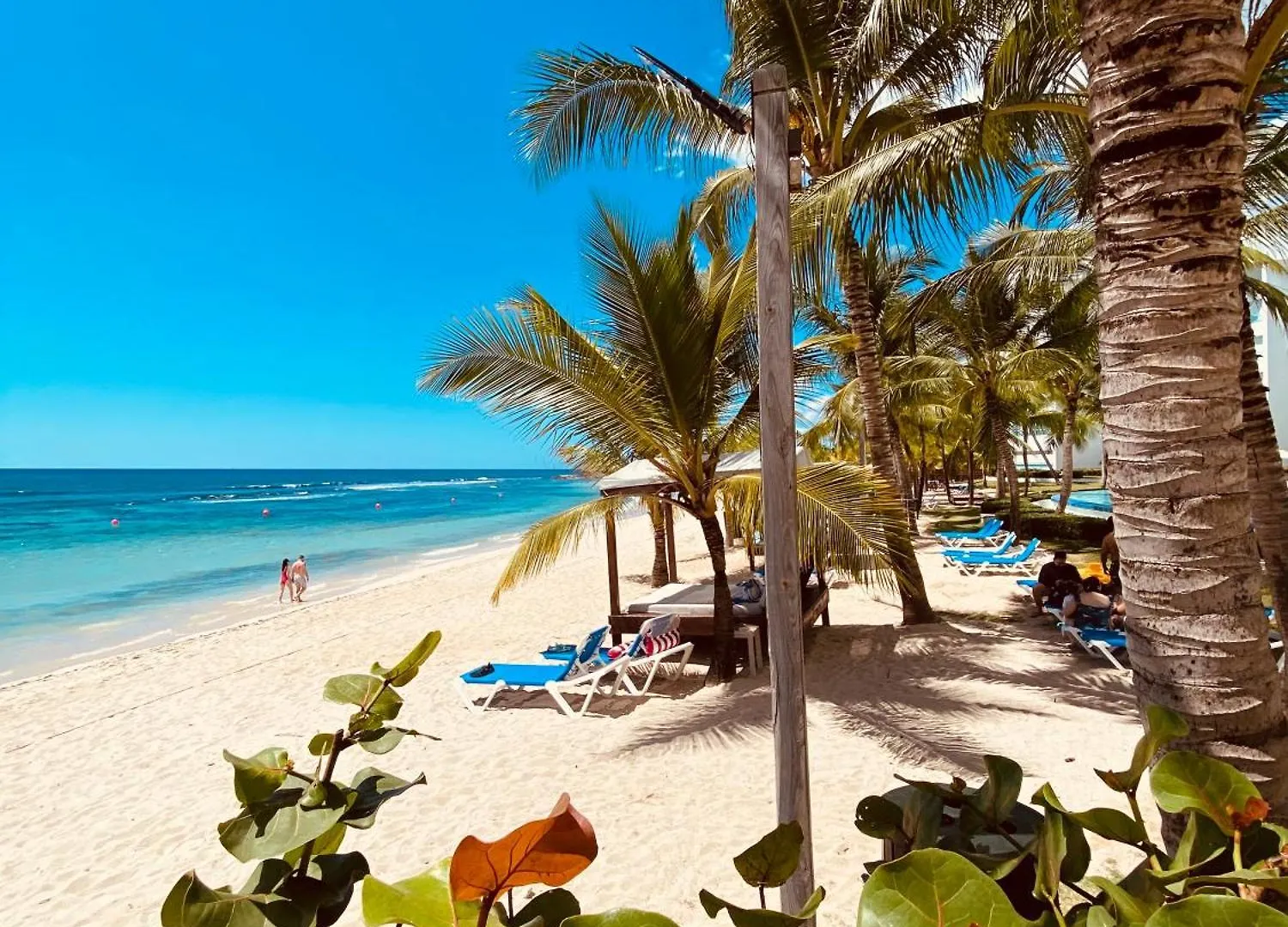 Luxury Penthouse Portobello Santo Domingo Apartment